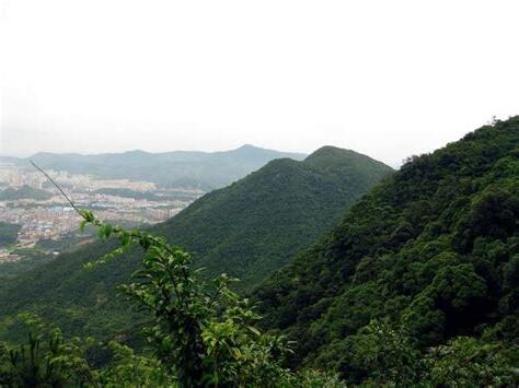 東莞 樟木頭